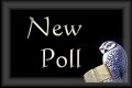 New Poll